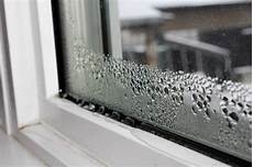 Window Gasket